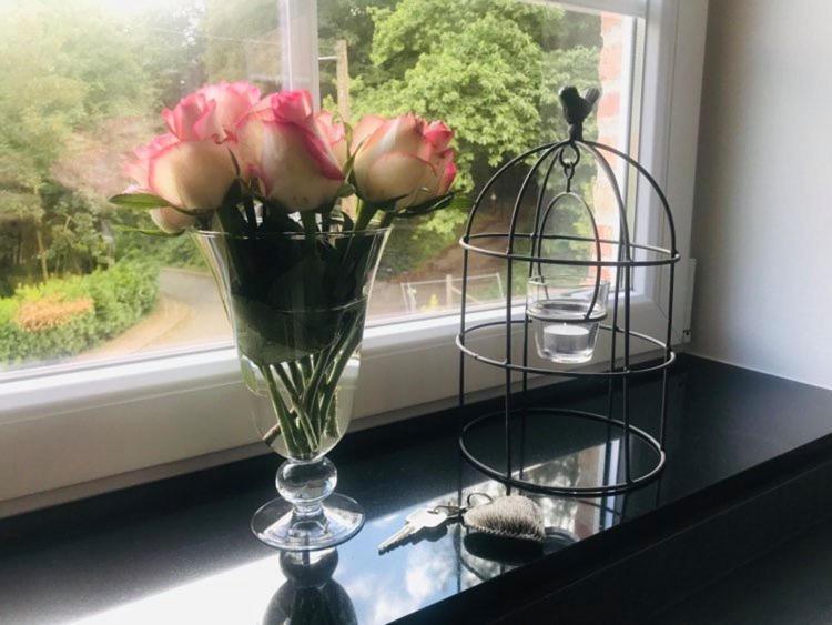 Vakantiewoning D'Hoppe Flobecq Kültér fotó